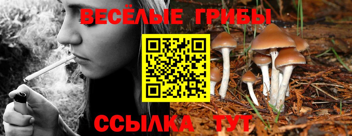 Псилоцибиновые грибы Magic Shrooms  Галлюциногенные грибы Cubensis  Вход с VPN  Ялта 